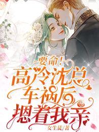 要命!高冷沈总车祸后摁着我亲