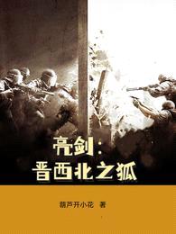 亮剑:晋西北之狐